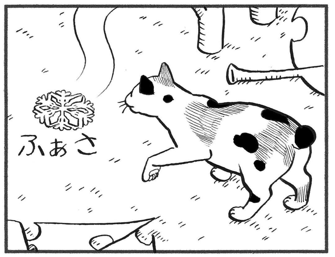 相原コージさんのインスタグラム写真 - (相原コージInstagram)「#世界猫の日 に『こびとねこ』はいかがでしょうか。発売中です。  #こびとねこ #ねこ漫画 #ねこ #こびと #雪 #結晶  #小小猫 #cat #manga #comic #thumbcat #snow」8月8日 14時15分 - kojiaihara