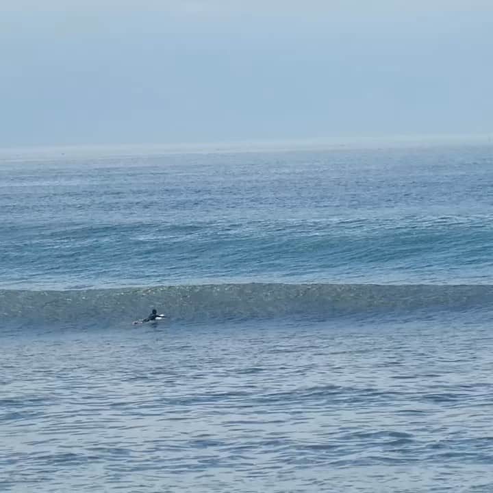 のインスタグラム：「Set coming 3days ago  #surfer #surfing #surfinglife #beach #beachlife #typhoonswell」