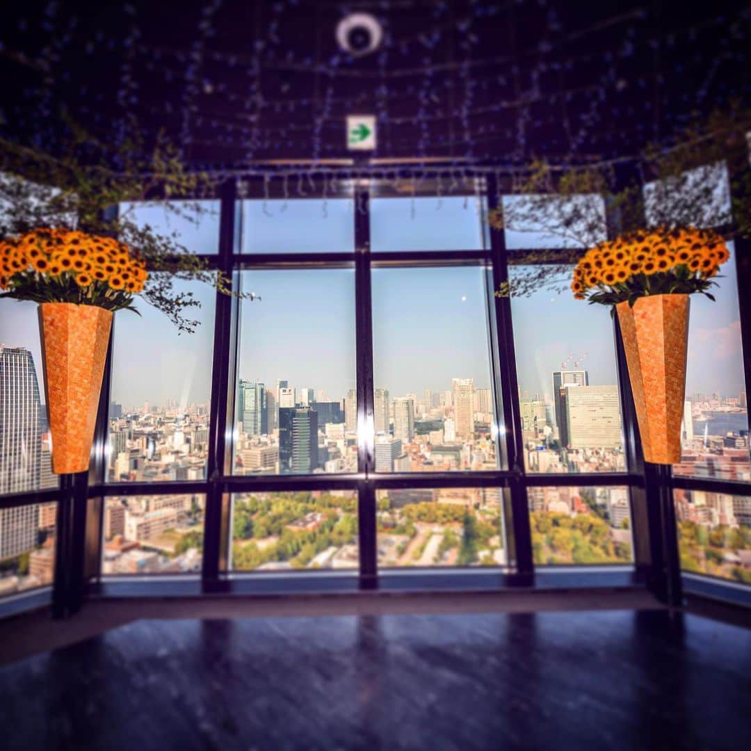 東京タワーさんのインスタグラム写真 - (東京タワーInstagram)「鮮やかに彩る真夏のシンボル「🌻ヒマワリ🌻」の生け花を 8月25日(日)まで毎日展示しています！  オレンジ色より少し明るい爽やかなマンゴー色の品種「サンリッチマンゴー」が、 窓面に備え付けられたフラワーポットに収められ、眺望にもなんとなく夏らしさが☀️！ 夜には、プロジェクションマッピングとのコラボレーションもとっても素敵です✨  暑～い夏、"太陽の花"から、元気を受け取ってくださいね！  #ひまわり　#sunflower #MainDeck  #東京タワー #tokyotower #tokyotower_official #東京 #tokyo #Japan #도쿄타워 #东京塔 #東京鐵塔 #东京」8月8日 14時42分 - tokyotower_official