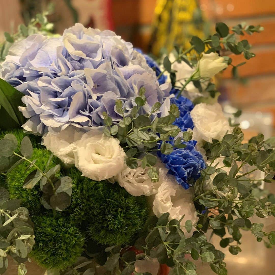 星野真里さんのインスタグラム写真 - (星野真里Instagram)「近づいてくれたあなたにだけ見せる これが花です 私あじさい #NHK短歌で披露した短歌 #花と思っちゃうのはガクなのです #小さすぎる花 #でも君がいないと花じゃないのだ」8月8日 15時04分 - mari_hoshino.7.27