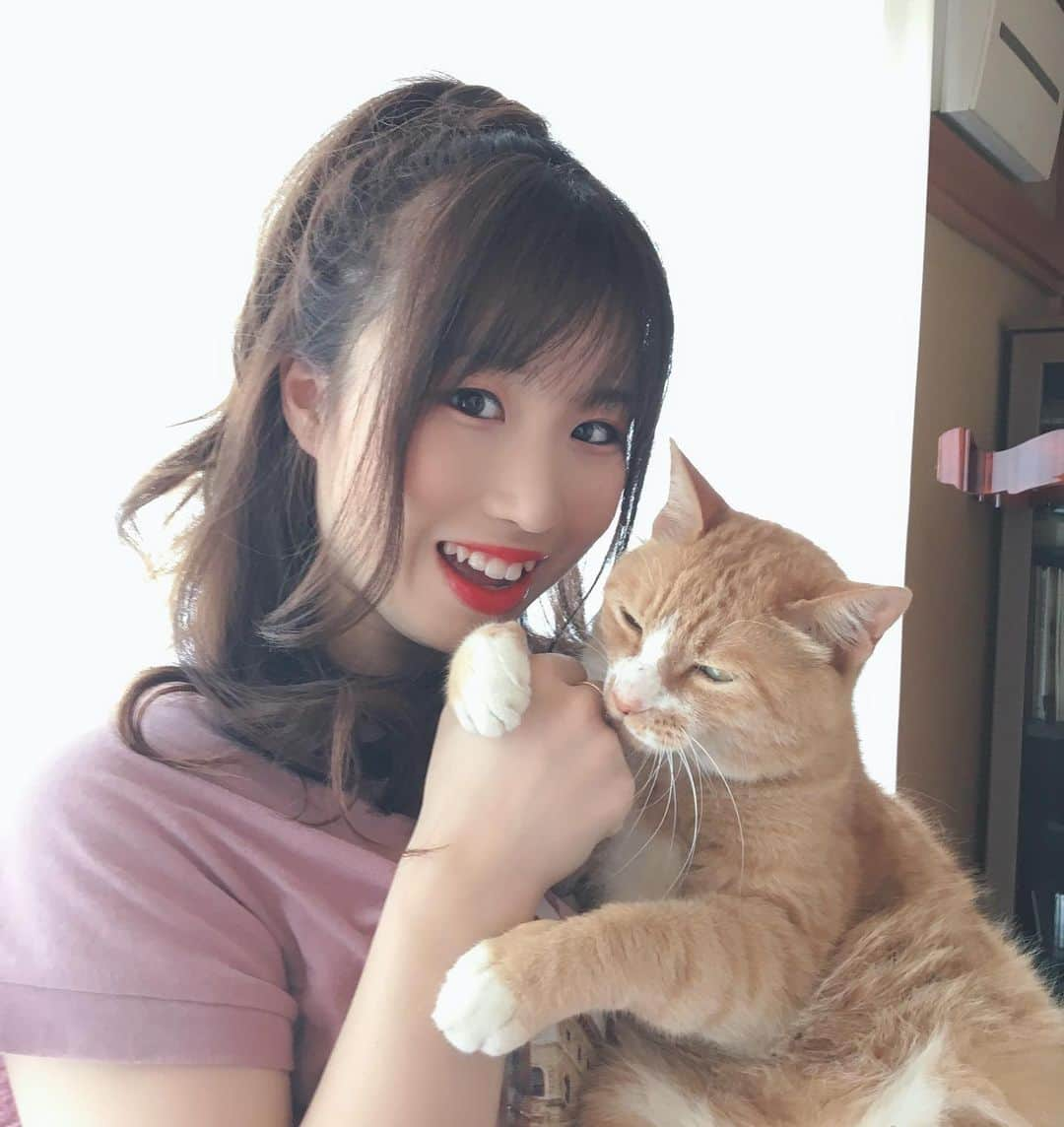 鈴木美南海さんのインスタグラム写真 - (鈴木美南海Instagram)「実家で飼っているネコのチップ🐱💕 抱っこがかなり嫌いだし、人懐っこくないけど、かっわいいんだ〜😊 帰省の楽しみの一つ🤗 また帰る時まで元気に待っててね❤️ #鈴木美南海 #女優 #女優の卵 #役者 #役者志望 #22歳 #夢 #叶える #芸能事務所 #newgatetokyo #所属 #東京 #山形 #カフェ好き #お洒落 #お洒落好き #おしゃれ #いいねした人で気になった人フォロー #いいね #ネコ #癒し」8月8日 15時23分 - u_minami_official