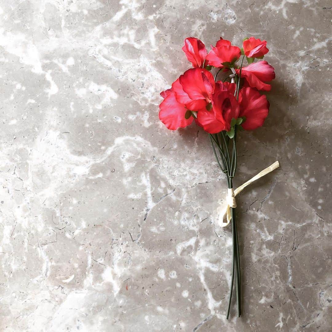 濱田マサルさんのインスタグラム写真 - (濱田マサルInstagram)「久々のコンサート❤️ 最近は、赤いスイトピーの造花を持参（？） する様なのでamazonで購入Ⓜ️🙏🏻❤️ #松田聖子コンサートツアー2019 #このスイートピーで良いのか 。。。」8月8日 16時33分 - hamadamasaru
