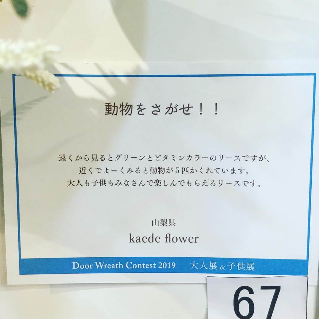 横浜ディスプレイミュージアムさんのインスタグラム写真 - (横浜ディスプレイミュージアムInstagram)「ドアリースコンテスト2019 大人も子供もみんなで楽しむドアリース 大人展:入選作品紹介 67:動物をさがせ！！ 作:kaede flower  #横浜ディスプレイミュージアム #横浜 #yokohama #ドアリースコンテスト2019 #doorwreath」8月8日 16時47分 - yokohamadisplaymuseum