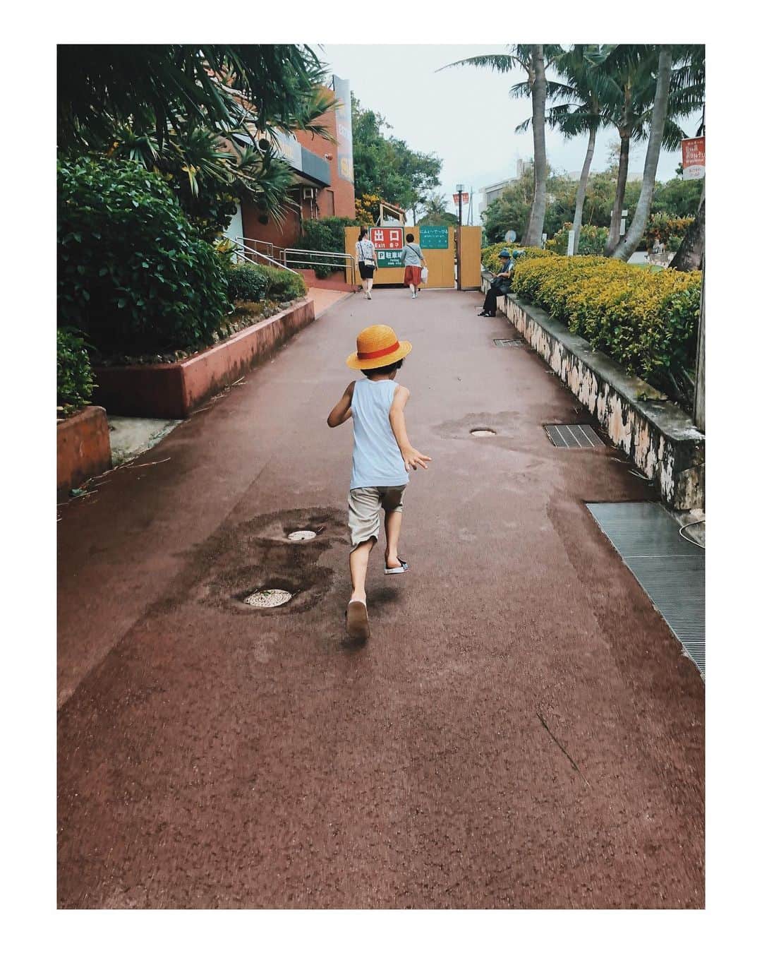 花楓さんのインスタグラム写真 - (花楓Instagram)「僕の夏休み。  #ルフィーは沖縄にいます #台風真っ最中」8月8日 17時17分 - _caede_