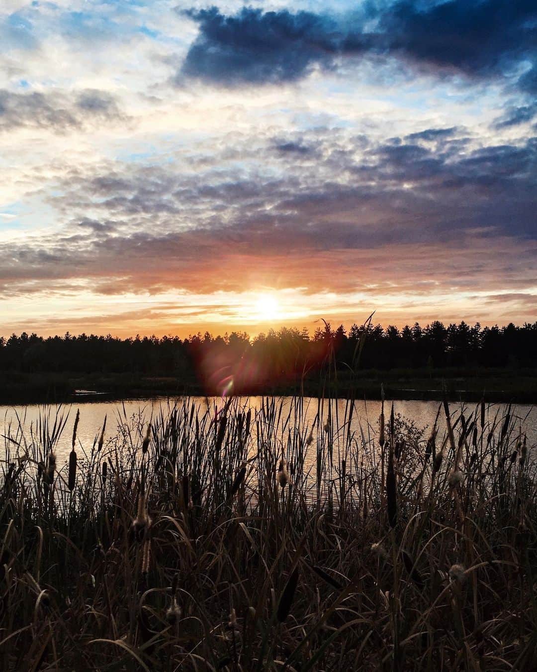 NICOLAS SIMOESのインスタグラム：「This is what I needed. Reading a book above the sea, watching the sunset in silence... 🙏🏻✨」