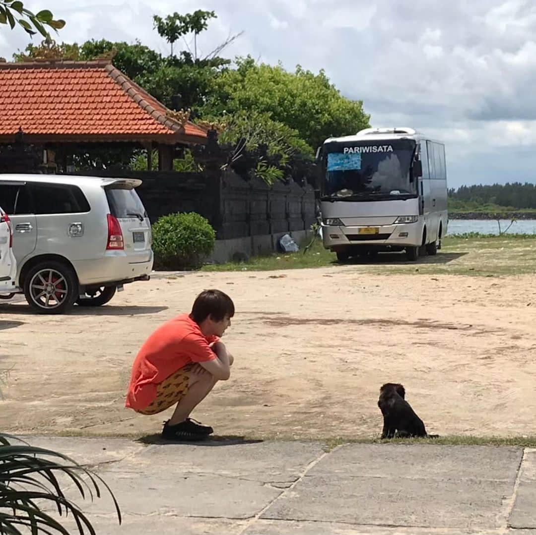 深澤大河さんのインスタグラム写真 - (深澤大河Instagram)「【本人】  バリ島の海で 出会った子犬、、、 可愛すぎて30分ぐらいにらめっこしてました^ ^www  DVD『深澤大河 in Bali Vol.1』  #バリ島 での #小さな #出会い #子犬 #可愛い #bali #puppy #cute」8月8日 18時12分 - taiga_fukazawa_official