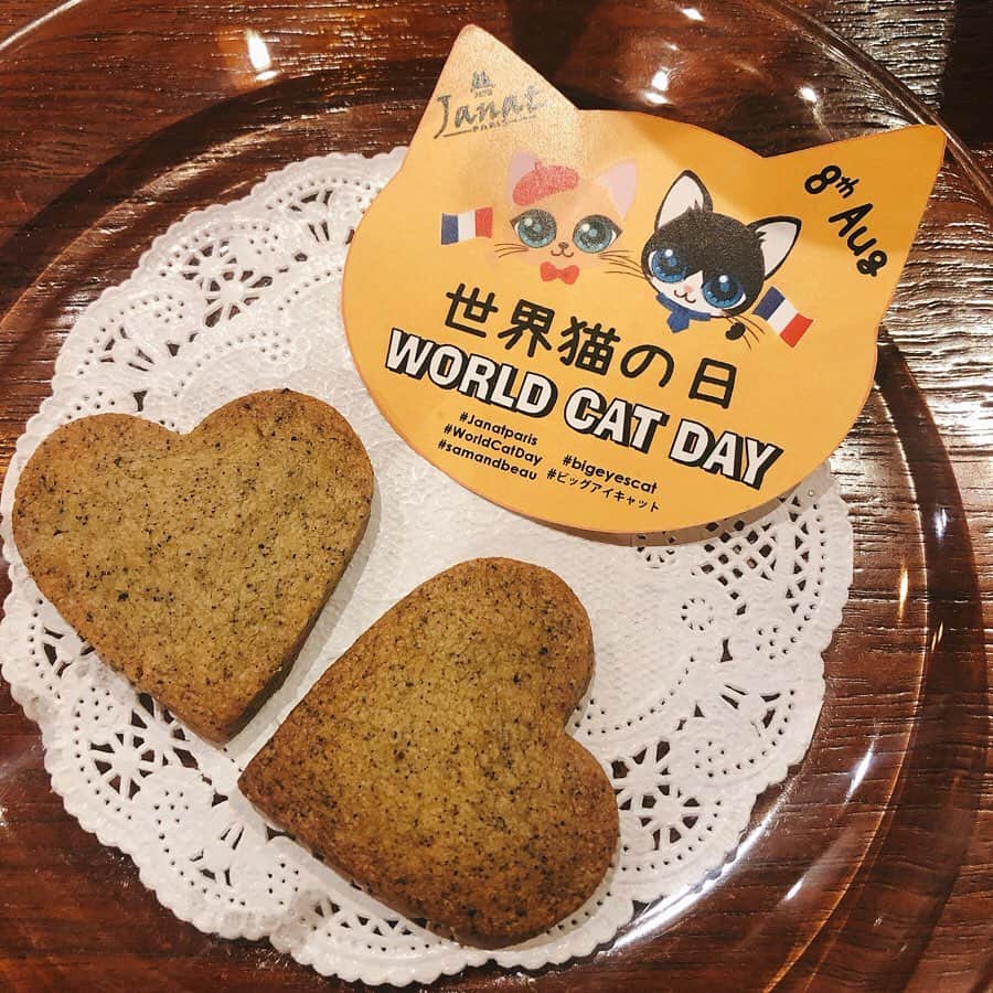 里井真由美さんのインスタグラム写真 - (里井真由美Instagram)「・ にゃんことチーズケーキと紅茶〜♪ ・ ・ →今日8/8は「世界猫の日」なのです♡ 甘党の私には ネコがモチーフのフランス老舗紅茶「ジャンナッツ」の日じゃないの♡ ・ ・ って事で、イベントにお招き頂き参加してきました にゃーん🐱😆 ・ ・ チーズケーキの生地が丁度良いねっとり感で、プルーンの酸味とあいます。 ベリーのソースとクランブルの食感がいい感じ😊 ・ ・ フォトグラファー @photogenique__  小島千果さんに教わりながら 本物のニャンコちゃんもテラスに登場♡ 普段 食べ物ばかり撮ってるのですが、ニャンコとの撮影も楽しかったですー♪ ・ ・ 夏限定のオークティーのフラッペもおいしいです。 身体冷んやりさせて夏を楽しみましょ♪ ・ ・ #janatparis #ビッグアイキャット#samandbeau #worldcatday#世界猫の日#里井真由美#janat#チーズケーキ#ケーキ#8thaug#ありが糖運動#ねこ#ネコ#猫#にゃんこ#ニャンコ」8月8日 18時14分 - mayumi.satoi