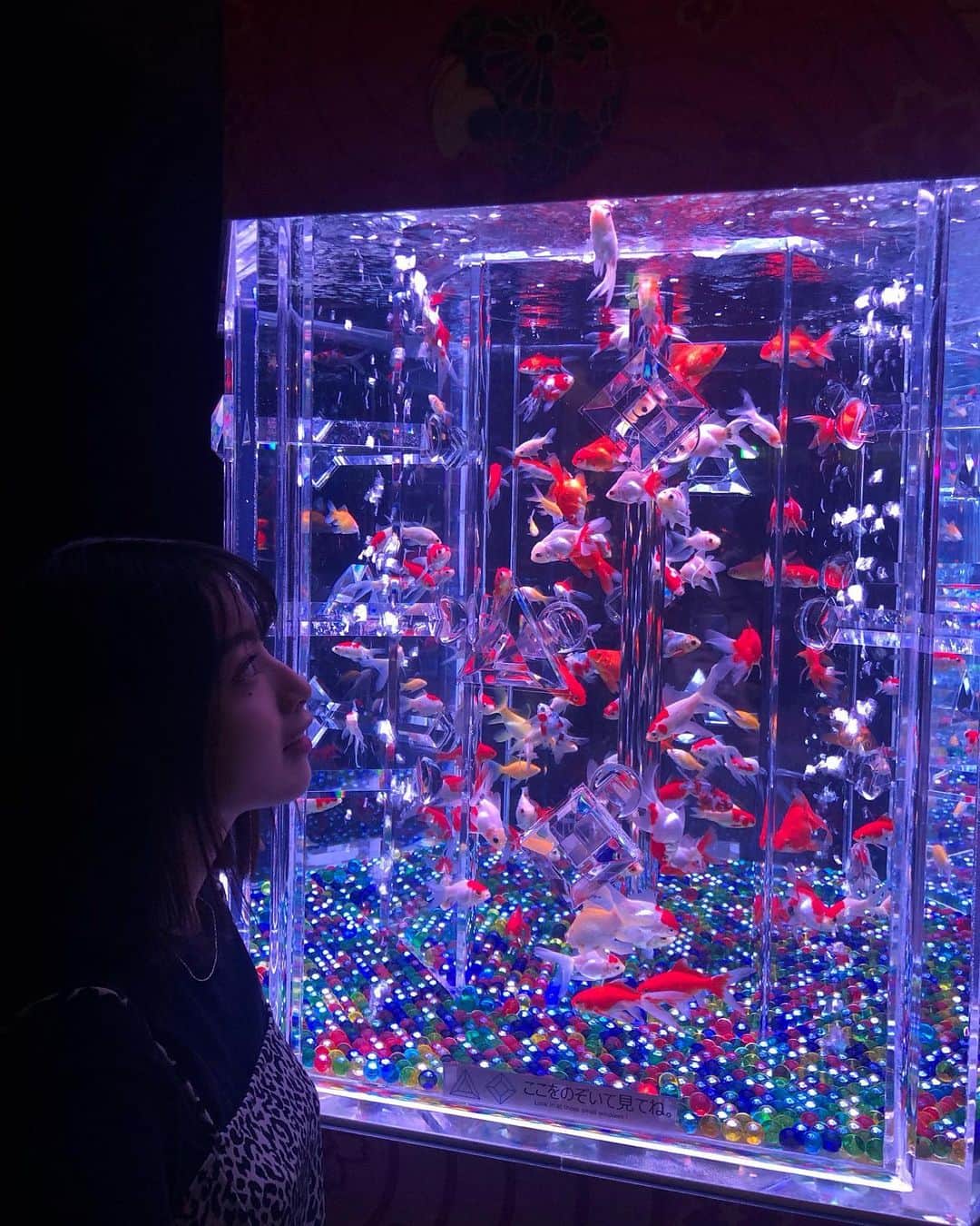 永井理子のインスタグラム：「金魚のアート 金魚と光が合わさってすごく綺麗でした🔮 #アートアクアリウム2019」