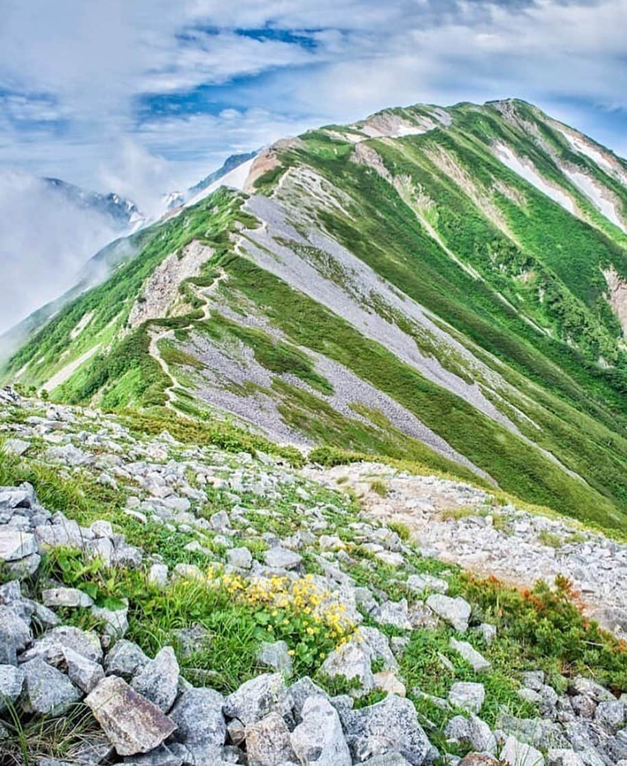 登山*トレッキング*アウトドア『.HYAKKEI』さんのインスタグラム写真 - (登山*トレッキング*アウトドア『.HYAKKEI』Instagram)「白馬岳へとつなぐ小蓮華山の花咲く美しい稜線。夏山らしいみずみずしい一枚です。 ・ photo by @susu.kou ・ ・ ・ ・ ・ ・ あなたの山の思い出picを#hyakkeime で投稿してください！みんなで素敵なお山ギャラリーをつくりましょー！﻿ ・﻿ ・﻿ ・﻿ #登山好きな人と繋がりたい #登山 #山登り #山歩き #山ガール #登山女子 #山ボーイ #山バカ #landscape #絶景 #日本の絶景 #as_archive #vsco #reco_ig #光と影 #広角 #青空 #sky #自然美 #北アルプス #稜線歩き #テント泊 #北アルプス #小蓮華山」8月8日 18時28分 - hyakkei_me