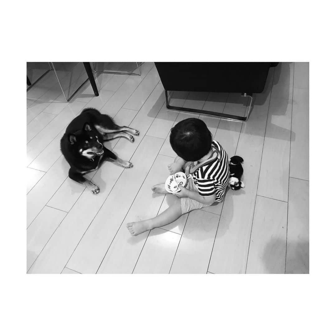 吉村民さんのインスタグラム写真 - (吉村民Instagram)「会話しているみたい。 🐕👶」8月8日 19時19分 - yoshimuratami