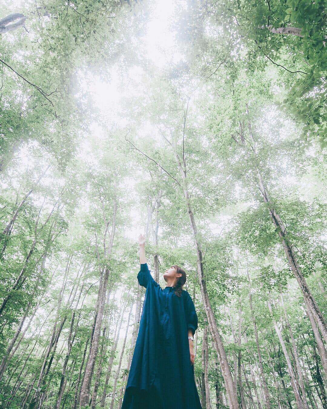 のインスタグラム：「・ ・ Location / #美人林 ・ ・ ◉sty830のLIGHTROOMプリセット◉ https://www.curbon.jp/products/sty830presets ・ ・ #vsco#ig_photooftheday#igersjp#igmasters#ink361#exklusive_shot#thecoolmagazine#FreedomThinkers#Visuals4All#igersoftheday_#reco_ig#webstapick#huntgram#vzcomood#thecreatorclass#artofvisuals#indies_gram#hueart_life#ppschool#exploretocreate#as_archive  #tokyocameraclub #nat_archive #good_portraits_world #pics_jp #igers  #instagram #instagramjapan」