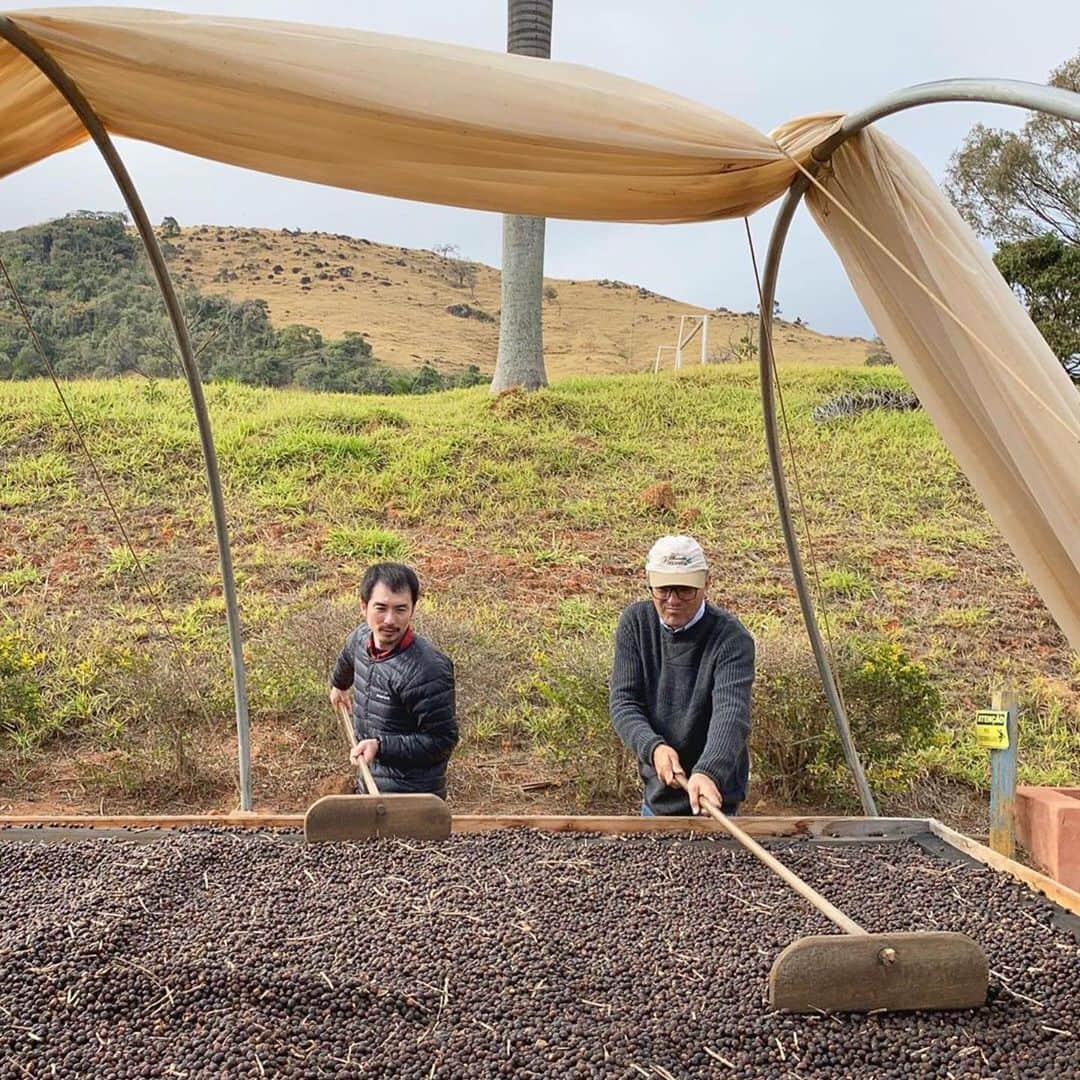 ABOUT LIFE COFFEE BREWERSのグルメインスタ