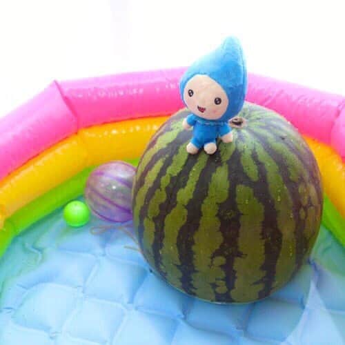 モーリーズのインスタグラム：「夏だー！プールだー！スイカだー！^_^ . #モーリーズ #moories  #ダイナム #かわいい #kawaii #cute #ゆるキャラ #ご当地キャラ #キャラクター #follow #ぬい撮り #stuffedtoy #instagood #マスコット #木の妖精 #モリスケ」