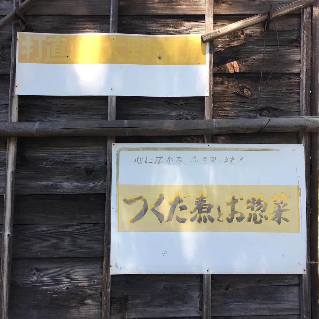 能町みね子さんのインスタグラム写真 - (能町みね子Instagram)「越前大宮というところにも行った。馬がいた。猫はいなかった。」8月8日 20時32分 - nmcmnc