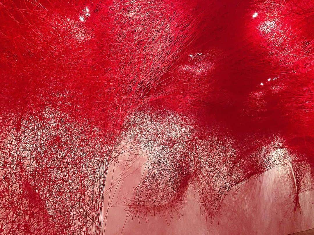 井上紗希さんのインスタグラム写真 - (井上紗希Instagram)「﻿ ﻿ 気になってた﻿ #塩田千春 の展示作品﻿ ﻿ 何本もの赤い糸は﻿ 「人間関係」﻿ というタイトルだった。﻿ ﻿ 何回も絡まり、途切れ、時には何にも触れずにピンっと糸が張ってる。﻿ ﻿ まさに🧠👣🧠👣いい闇深でした🕸﻿ ﻿ #魂がふるえる #美術館 #art #MoriartMuseum﻿ #shiotachiharu ﻿」8月8日 20時59分 - peppe718