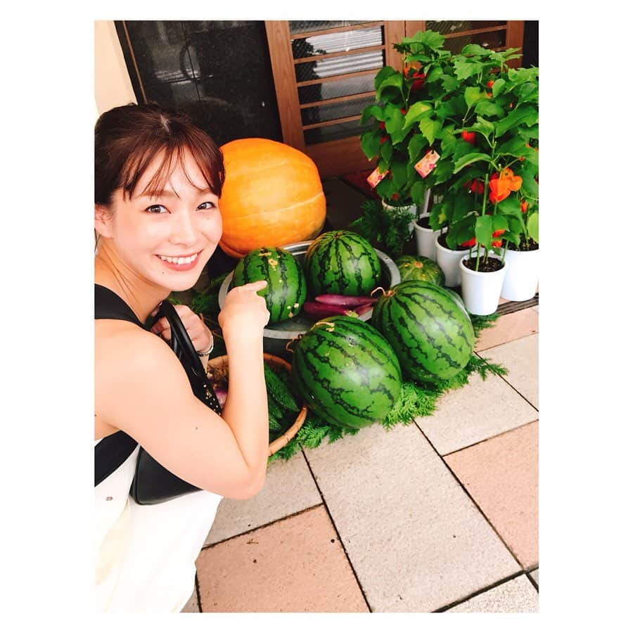 酒井瞳さんのインスタグラム写真 - (酒井瞳Instagram)「#宮崎 ロケのオフショット おしゃれカフェに行ったり、大きなすいか見つけたり、兄とお肌すべすべになる温泉行ったり！！！！ 短い滞在時間でも存分に堪能しました！ #よかばん #UMK #カフェ #夏 #ドーナツ #レモンドーナツ #チャイラテ #すいか #温泉 #青井岳温泉 #青井岳 #美肌 #すべすべ #おすすめ」8月8日 21時30分 - s.sakaihitomi