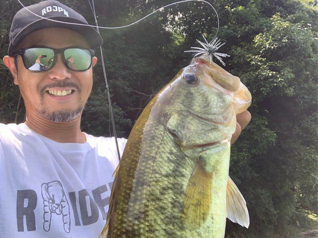 金森隆志さんのインスタグラム写真 - (金森隆志Instagram)「今日はテスト釣行でした🎣 午前中は真面目に開発中のアレやコレやを投げ込みながらチェック！ 午後からはちょっと釣りたくなり…真昼間らしいシェード攻略で(最後の写真のような)オーバーハングのシェード+さらにチップやゴミで出来たオンザ シェードを軽吊るしで攻略⚡️吊るしは皆、3.5gや4.5gを用いるのがスタンダードですが…以前も紹介しましたが、夏寄りな魚🐟の動きが出始めたら間違いなくフォールスピードを抑えれる1.5gや2.0gが👍🎯！！ギリギリ落ちいくくらいのウエイト選びが大切です⚡️ 攻めるカバーの濃さやディスタンスで一概には言えませんが、基本的には"軽め"が🌻夏の吊るし🌻のススメです👋 この釣り🎣でものの数時間で50アップ頭に40アップは20発以上は頂きました🙏♫ ちなみに、1.5gや2.0gならLクラスのスピニングでもPE1号や1.2号にリーダー10ポンドを組んだらアプローチは一応…可能になりますよ👋 カナモはストライド(7フィートのMLスピニングにPE1号にリーダー10ポンド)でやりました！」8月8日 21時26分 - kanamori_raidjapan