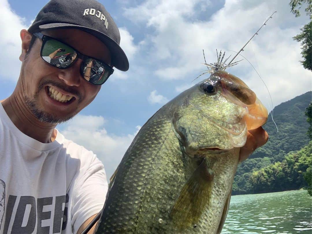 金森隆志さんのインスタグラム写真 - (金森隆志Instagram)「今日はテスト釣行でした🎣 午前中は真面目に開発中のアレやコレやを投げ込みながらチェック！ 午後からはちょっと釣りたくなり…真昼間らしいシェード攻略で(最後の写真のような)オーバーハングのシェード+さらにチップやゴミで出来たオンザ シェードを軽吊るしで攻略⚡️吊るしは皆、3.5gや4.5gを用いるのがスタンダードですが…以前も紹介しましたが、夏寄りな魚🐟の動きが出始めたら間違いなくフォールスピードを抑えれる1.5gや2.0gが👍🎯！！ギリギリ落ちいくくらいのウエイト選びが大切です⚡️ 攻めるカバーの濃さやディスタンスで一概には言えませんが、基本的には"軽め"が🌻夏の吊るし🌻のススメです👋 この釣り🎣でものの数時間で50アップ頭に40アップは20発以上は頂きました🙏♫ ちなみに、1.5gや2.0gならLクラスのスピニングでもPE1号や1.2号にリーダー10ポンドを組んだらアプローチは一応…可能になりますよ👋 カナモはストライド(7フィートのMLスピニングにPE1号にリーダー10ポンド)でやりました！」8月8日 21時26分 - kanamori_raidjapan