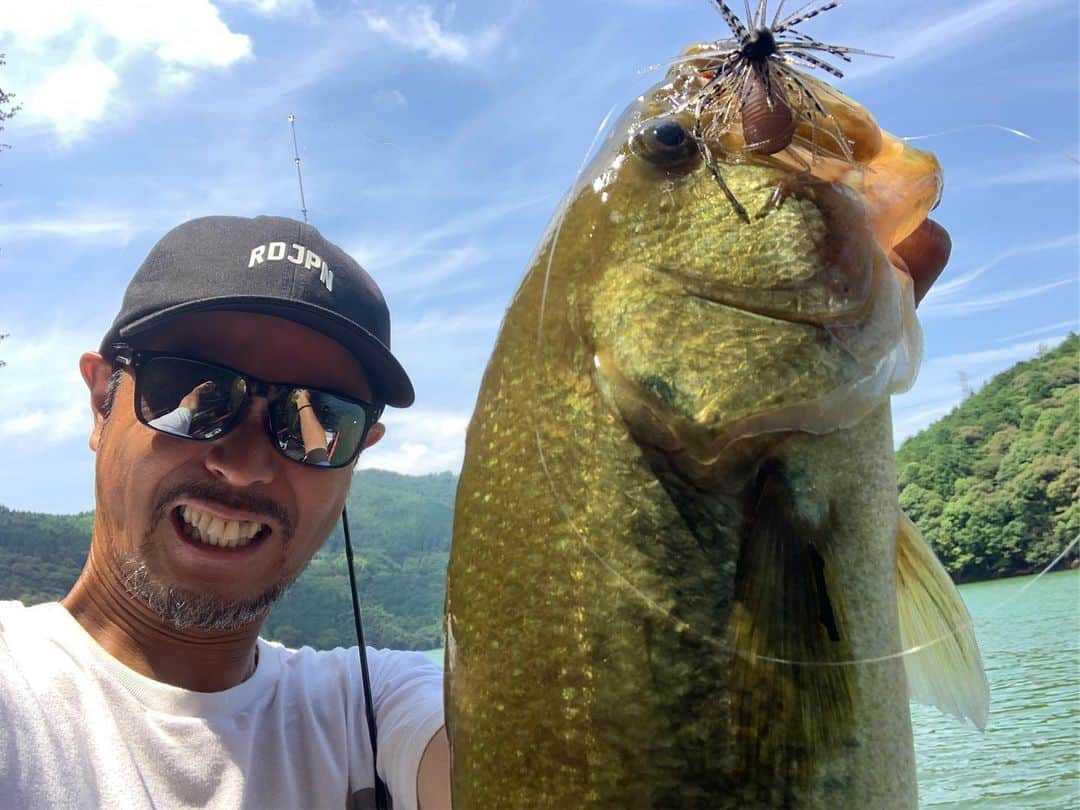 金森隆志さんのインスタグラム写真 - (金森隆志Instagram)「今日はテスト釣行でした🎣 午前中は真面目に開発中のアレやコレやを投げ込みながらチェック！ 午後からはちょっと釣りたくなり…真昼間らしいシェード攻略で(最後の写真のような)オーバーハングのシェード+さらにチップやゴミで出来たオンザ シェードを軽吊るしで攻略⚡️吊るしは皆、3.5gや4.5gを用いるのがスタンダードですが…以前も紹介しましたが、夏寄りな魚🐟の動きが出始めたら間違いなくフォールスピードを抑えれる1.5gや2.0gが👍🎯！！ギリギリ落ちいくくらいのウエイト選びが大切です⚡️ 攻めるカバーの濃さやディスタンスで一概には言えませんが、基本的には"軽め"が🌻夏の吊るし🌻のススメです👋 この釣り🎣でものの数時間で50アップ頭に40アップは20発以上は頂きました🙏♫ ちなみに、1.5gや2.0gならLクラスのスピニングでもPE1号や1.2号にリーダー10ポンドを組んだらアプローチは一応…可能になりますよ👋 カナモはストライド(7フィートのMLスピニングにPE1号にリーダー10ポンド)でやりました！」8月8日 21時26分 - kanamori_raidjapan