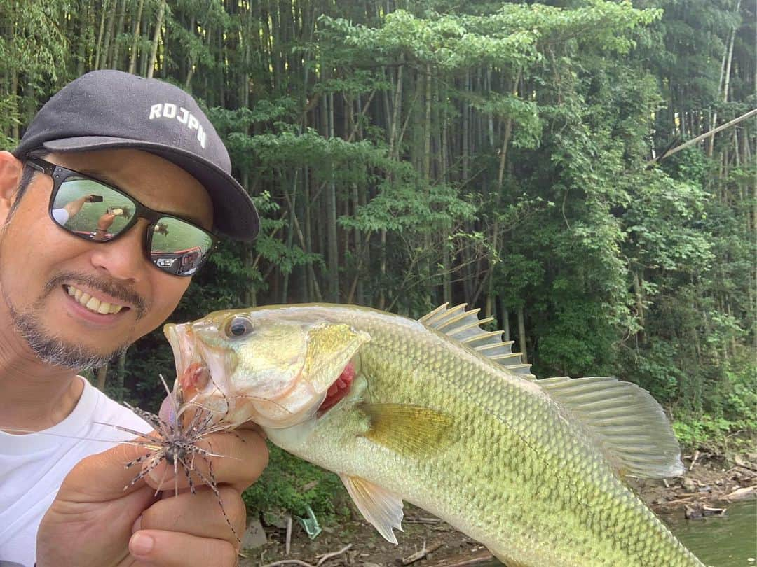 金森隆志さんのインスタグラム写真 - (金森隆志Instagram)「今日はテスト釣行でした🎣 午前中は真面目に開発中のアレやコレやを投げ込みながらチェック！ 午後からはちょっと釣りたくなり…真昼間らしいシェード攻略で(最後の写真のような)オーバーハングのシェード+さらにチップやゴミで出来たオンザ シェードを軽吊るしで攻略⚡️吊るしは皆、3.5gや4.5gを用いるのがスタンダードですが…以前も紹介しましたが、夏寄りな魚🐟の動きが出始めたら間違いなくフォールスピードを抑えれる1.5gや2.0gが👍🎯！！ギリギリ落ちいくくらいのウエイト選びが大切です⚡️ 攻めるカバーの濃さやディスタンスで一概には言えませんが、基本的には"軽め"が🌻夏の吊るし🌻のススメです👋 この釣り🎣でものの数時間で50アップ頭に40アップは20発以上は頂きました🙏♫ ちなみに、1.5gや2.0gならLクラスのスピニングでもPE1号や1.2号にリーダー10ポンドを組んだらアプローチは一応…可能になりますよ👋 カナモはストライド(7フィートのMLスピニングにPE1号にリーダー10ポンド)でやりました！」8月8日 21時26分 - kanamori_raidjapan