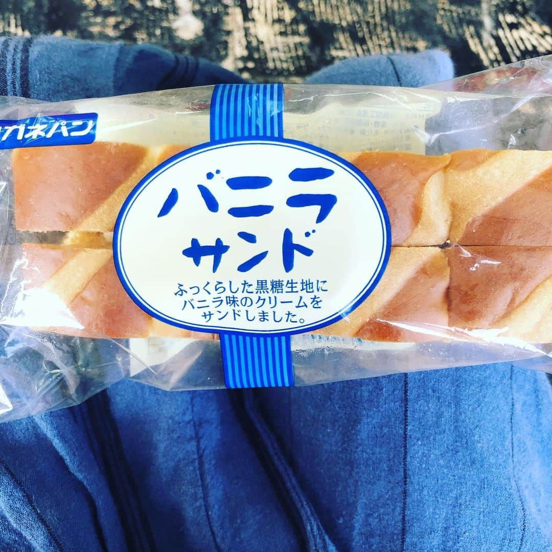 藤田朋子さんのインスタグラム写真 - (藤田朋子Instagram)「けふのぶれいくふぁすと🍞 #ロケ #朝めし #朝ごはん #朝食 #今日も暑くなりそうだ #頑張る #藤田朋子 #役者 #楽し #tomokofujita #breakfast #bread #sandwich #goodmorning」8月9日 8時29分 - chiendormant