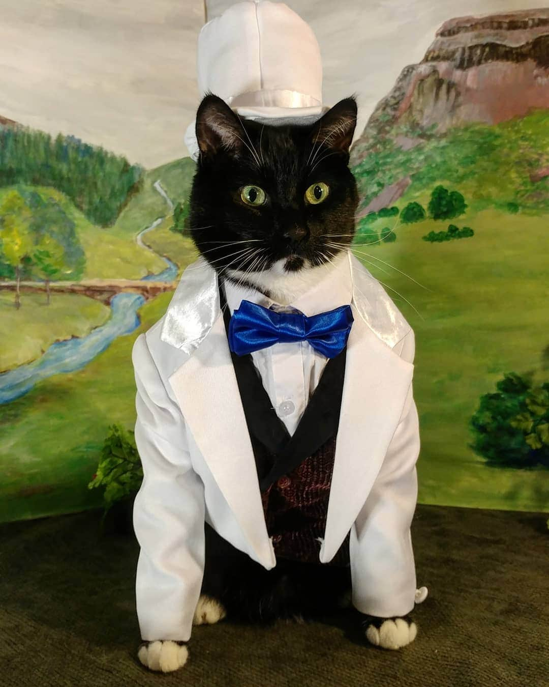 猫コスプレさんのインスタグラム写真 - (猫コスプレInstagram)「Never forget your roots.  #InternationalCatDay #catsinclothes #tuxedocats」8月9日 7時39分 - cat_cosplay