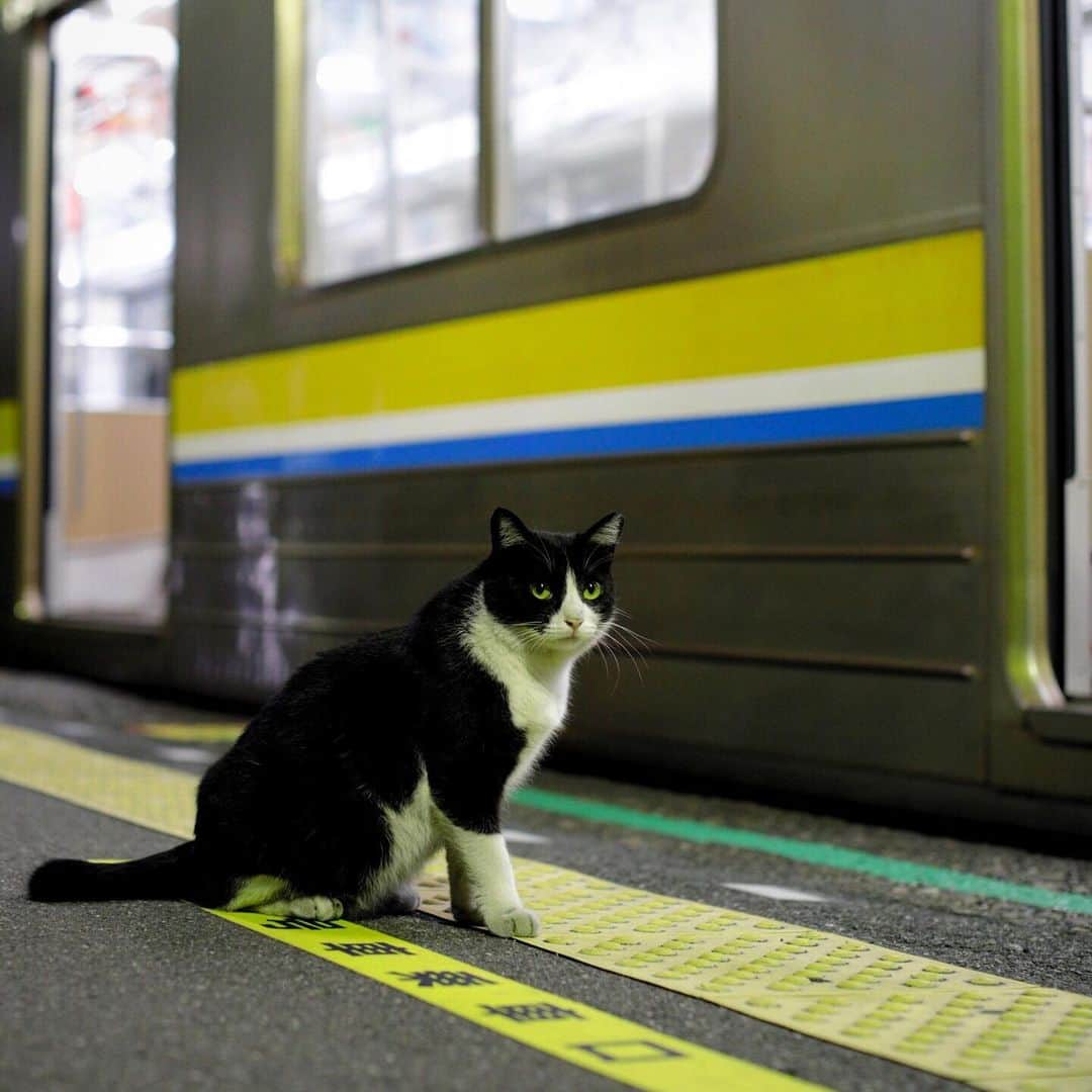 ををつかさんのインスタグラム写真 - (ををつかInstagram)8月9日 7時51分 - neco_ideas