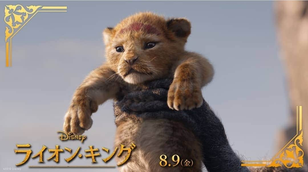 清野紗耶香さんのインスタグラム写真 - (清野紗耶香Instagram)「今日から#lionking 映画公開📽️💗 小学生の思春期の頃にみて、「こんなお父さんだったら尊敬出来ていいな」と、 思わず涙が溢れた、 初めての泣いたディズニー映画。  ちょっぴり胸がチクっとする思い出。  だけど、子シンバが大好き‼️可愛い❗ #超実写ライオンキング 観に行くぞー♪  #ヤングシンバ #劇団四季ライオンキング も観に行きたい💗 #ライオンキング #disneymovies #ハクナマタタ #シンバ #ナラ #スカー ムカつくけど声がイケボってやつ、曲も好き、ムカつくけど #ムファサ #王様になりたい 幼いシンバの声が可愛い歌🎶」8月9日 7時55分 - seino_sayaka