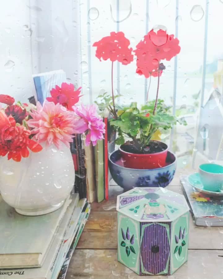 Tea and sittingのインスタグラム：「🌿💦...❣️ Some things I picked up at the car boot sale yesterday along with some of today’s rain... #consciouscreativity」