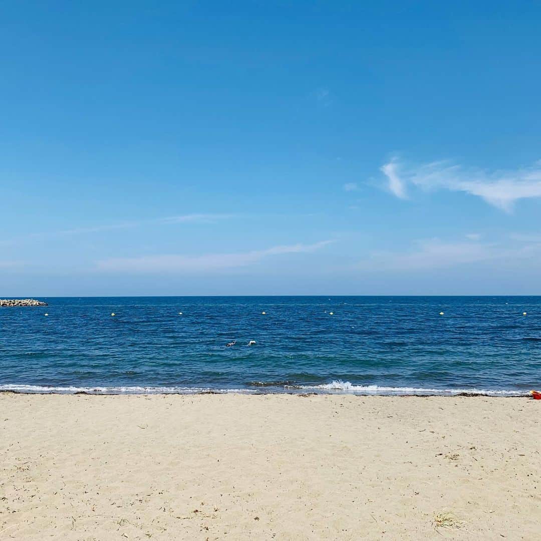 稲葉千秋さんのインスタグラム写真 - (稲葉千秋Instagram)「今日の青森湾は、それはそれは 美しい海でした😆💕 #合浦公園 #合浦公園海水浴場  #空も海も綺麗だった  #美しい景色  #砂浜に立つ松の木 #青森湾 #夏の青森」8月8日 23時41分 - chakey_15