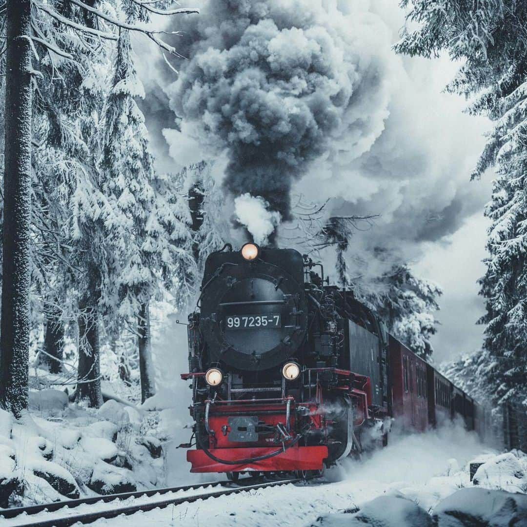 Canon Photographyさんのインスタグラム写真 - (Canon PhotographyInstagram)「Photography | @michielpieters Harz mountains, Germany Canon 5D iii + 70-200mm ISO 400 | f2.8 | 1/200 #canon_photos #germany」8月8日 23時39分 - cpcollectives