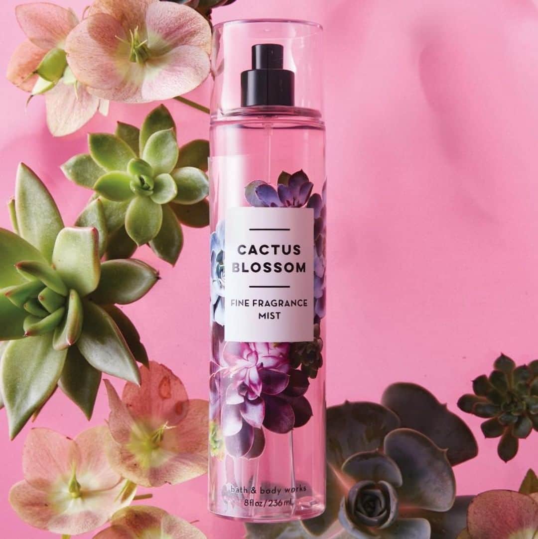 Bath & Body Worksさんのインスタグラム写真 - (Bath & Body WorksInstagram)「🌵 Cactus Blossom Petals 🌵 🥥 Coconut 🥥 💕 Vanilla 💕  Talk about love 😍 at first Mist! Tell us how much you're loving NEW Cactus Blossom! 👇」8月9日 0時00分 - bathandbodyworks