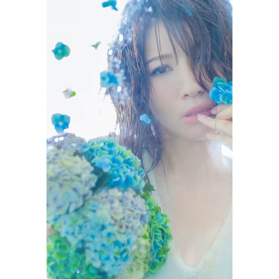 のインスタグラム：「Photographer / JUN MARUOKA H&M /  MAYO MORISHITA  #水蜜華  #水蜜華 #作品撮り  #撮影 #水 #紫陽花 #アジサイ #アジサイブーケ  #花 #水色 #濡れ髪 #flower #photo  #photoshoot  #japan  #japanese  #japanesegirl  #happyhappy」