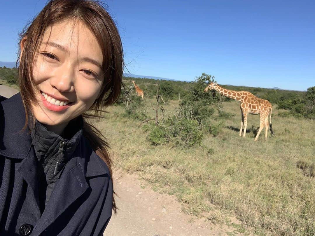 パク・シネさんのインスタグラム写真 - (パク・シネInstagram)「꺅.  기린!!!!!!!」8月9日 0時25分 - ssinz7