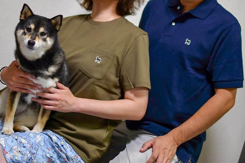 のインスタグラム：「【PR】 ・ 数年前、パパ👴🏻が東京の上野で見つけたSONTAKU 柴犬ポロシャツ🐶💕 ・ 赤柴のワンポイントだったので迷って迷って買わなかったんだけど… ・ 黒柴の可愛いワンポイントも登場🐶💕たまらん😍 ・ @gtrans_staff 日本製で作りも素晴らしいですよ💁🏻‍♀️ ・ I will post the overseas shipping link in the story tomorrow. ・ #さりげなくて着れます #ママは黒柴Tシャツ利休 #パパは黒柴ポロシャツネイビー ・ 北海道の柴犬 #柴北会 の皆ワン🐶💕くん活頑張ろう🐶👍🏻💕 ・ #adorable #instadog#shibainu#dog#instagramjapan#instashiba#kuroshiba #kuroshiba#socute #cutedog#いぬのきもち #黒柴 #dogstagram #sapporo」