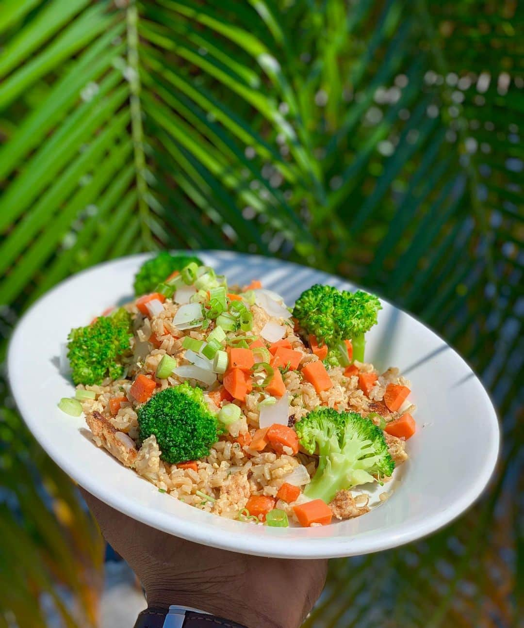 エバン・ロンゴリアさんのインスタグラム写真 - (エバン・ロンゴリアInstagram)「Happy Thursday! 🌞 today we’ve got a delicious chicken fried rice topped with carrots 🥕, onions, and broccoli 🥦! If you haven’t had your cheat day, stop in to @duckystampa and take advantage of this delicious special!🤤 • • • • #tampa #tampafood #foodie #foodphotography #foodphotos #duckys #duckyssportslounge #sportslounge #sports #thursday #cheatday #dailyspecial #specials #tampafoodies #foodiesofinstagram #foodbloggers #tampafood #asian #asianfood #asiancuisine」8月9日 1時19分 - evan.longoria3