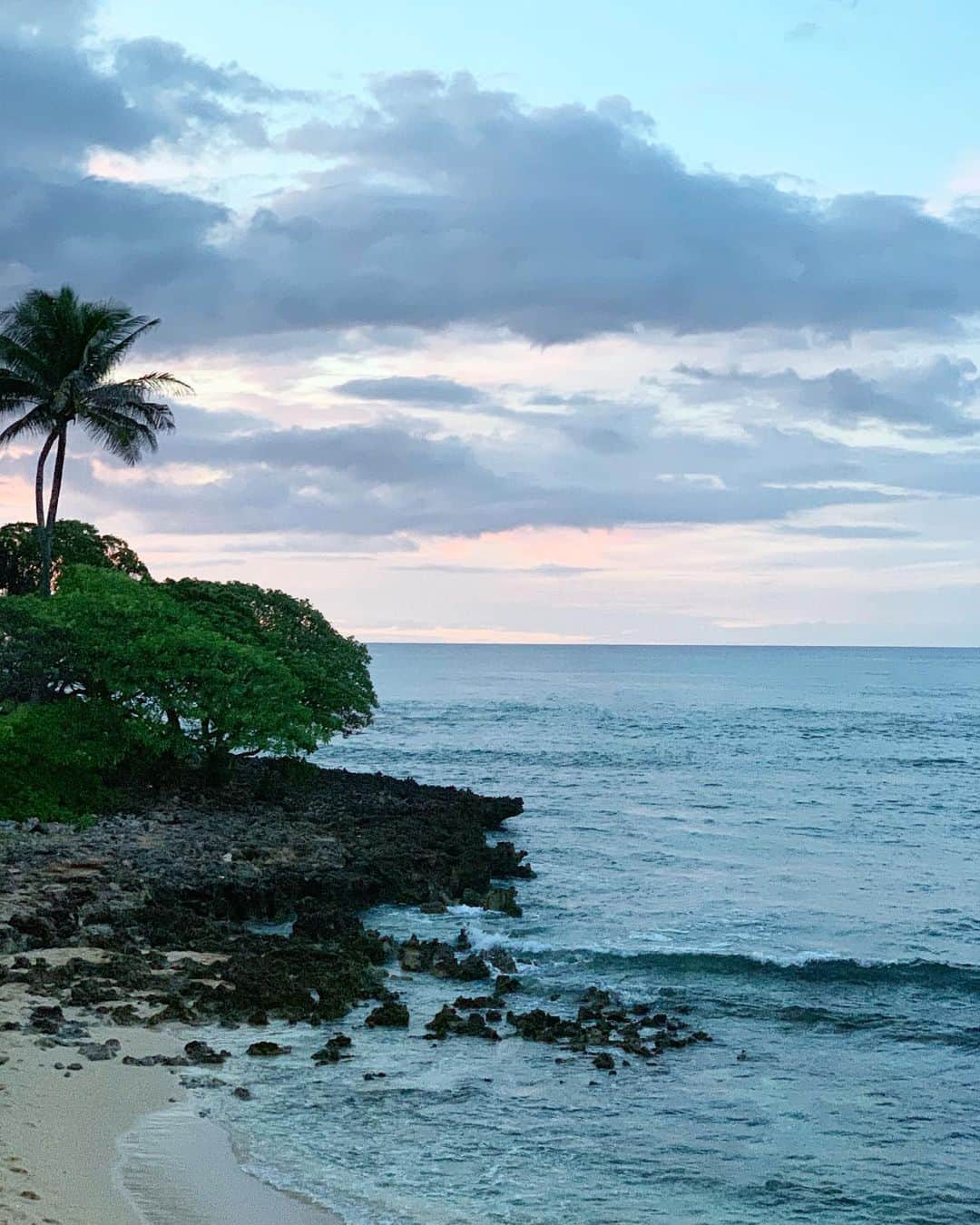 リア・ミシェルさんのインスタグラム写真 - (リア・ミシェルInstagram)「Hawaiian pink sky 🌺🌙✨」8月9日 1時26分 - leamichele