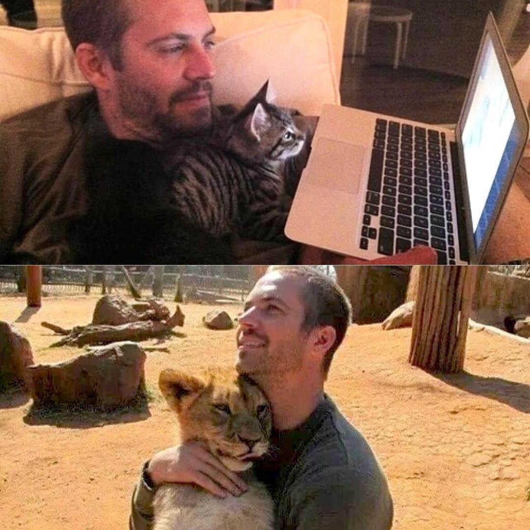 ポール・ウォーカーのインスタグラム：「#InternationalCatDay #TBT ❤️ #TeamPW」