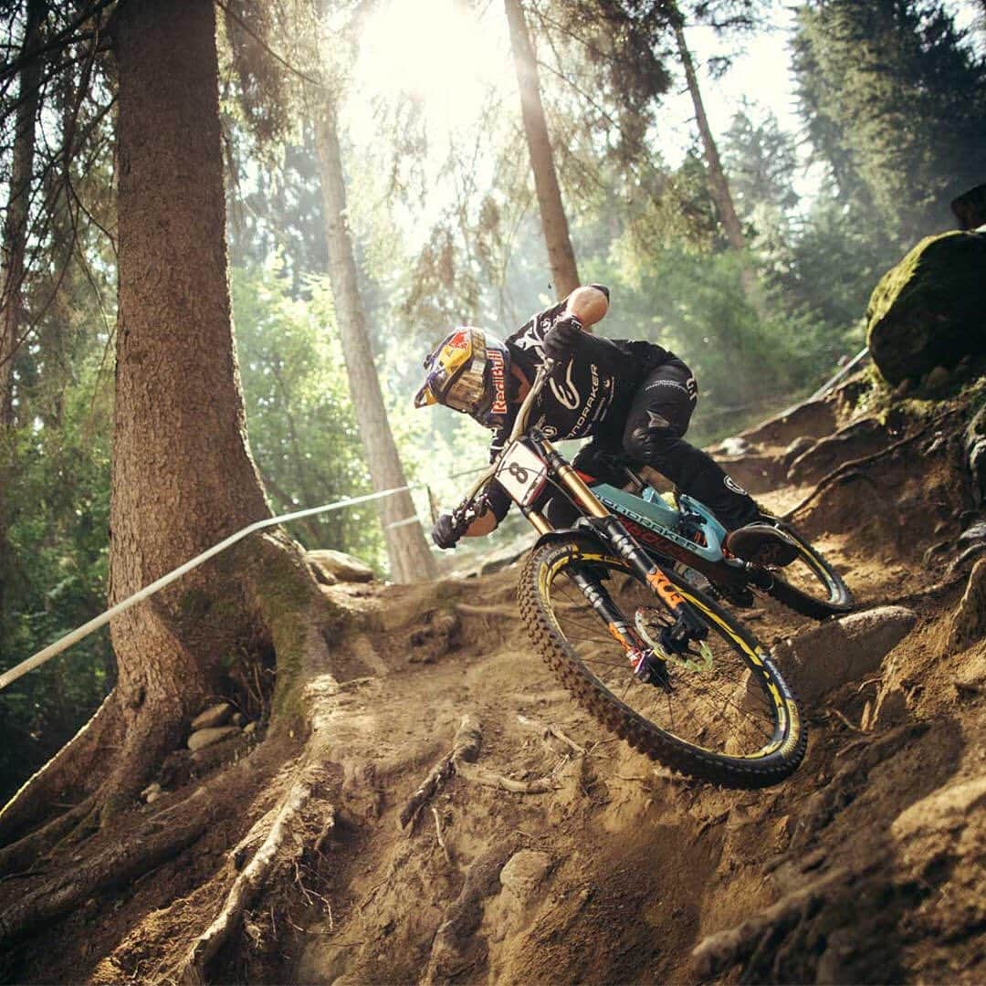 Shimanoさんのインスタグラム写真 - (ShimanoInstagram)「We have an epic weekend of racing lined up with the UCI MTB DH World Cup in Lenzerheide and Round 6 of the @world_enduro in Whistler! Comment below with what you are most excited to follow👇 #ShimanoMTB」8月9日 2時30分 - rideshimano