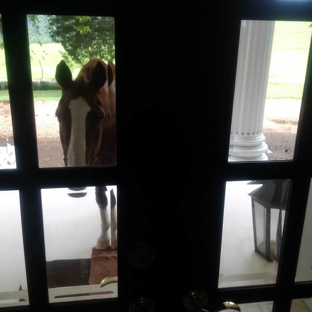 ビリー・レイ・サイラスさんのインスタグラム写真 - (ビリー・レイ・サイラスInstagram)「My Dad’s horse just rang the door bell! @lilnasx #GotTheHorsesInTheBack #OTR "Welcome to the club" #Waylon #Outlaw」8月9日 2時39分 - billyraycyrus