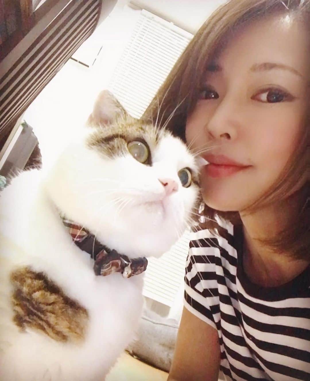 のインスタグラム：「8月8日は世界猫の日🐈❤️ 2ショット撮ろうと思ってもなかなか撮れず🤳 お互いマイペースで、一緒にいても干渉しないからカツオが人間だったら最高なパートナーになれそうなのに😙 …と思ったけど言葉話せたらうまくいかないか🙈 まん丸おデブだけど健康で長生きしてね🥰 #世界猫の日 #人間だけが言葉を与えられたのはなぜだろう #仲良し #寝ぼけ顔も可愛い #かつお #立ち耳スコ #スコティッシュフォールド #スコティッシュフォールド立ち耳 #猫アレルギー #cat #gatto #ねこ #ぬこ #goodnight #worldcatday」