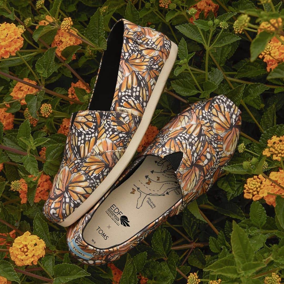トムズシューズのインスタグラム：「Today, there are 90% fewer monarch butterflies than there were 2 decades ago. To call attention to the cause, TOMS has designed a limited-edition collection of butterfly-inspired vegan footwear in collaboration with @environmental_defense_fund. Learn more and shop on TOMS.com. #TOMSAnimalInitiative」