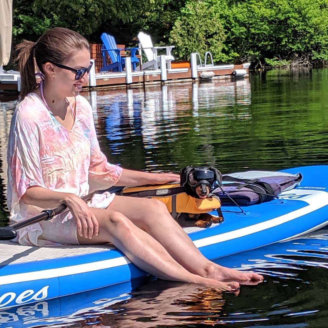 Crusoe the Celebrity Dachshundさんのインスタグラム写真 - (Crusoe the Celebrity DachshundInstagram)「"Mum and I love relaxing paddleboards together. What's an activity you love to do with your pup?" ~ Crusoe」8月9日 4時33分 - crusoe_dachshund