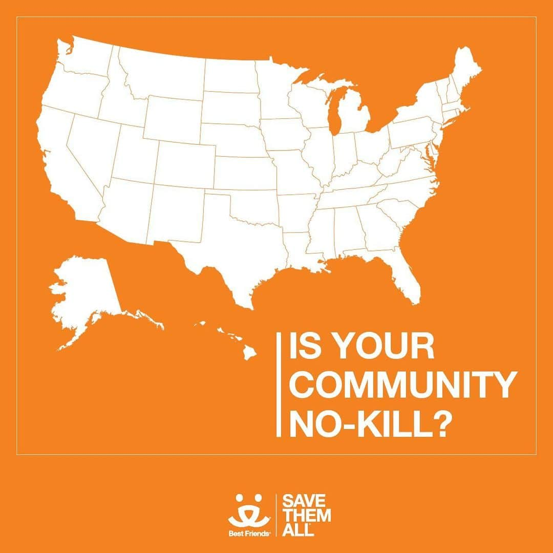 ダニー・トレホさんのインスタグラム写真 - (ダニー・トレホInstagram)「Do you know if your community is no-kill? @bestfriendsanimalsociety' new community lifesaving dashboard shows exactly where in the country dogs and cats need to be saved. *Link in Bio* . . . #NoKill2025 #bestfriendsanimalsociety #dannytrejo」8月9日 5時11分 - officialdannytrejo