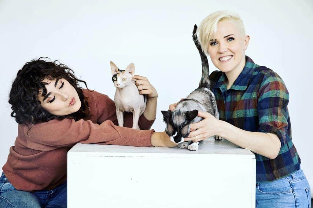 ハナー・ハートのインスタグラム：「Happy #InternationalCatDay!  Wanna know how we celebrate as a family? Pre-Order #MyDrunkKitchenHolidays today! Link in bio!」