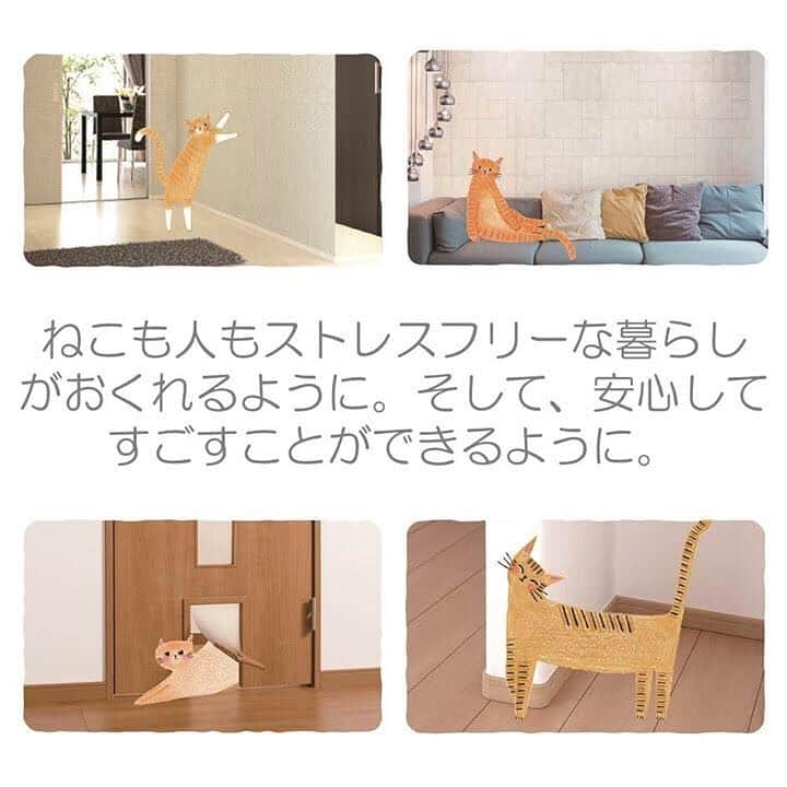 タマホーム株式会社さんのインスタグラム写真 - (タマホーム株式会社Instagram)「「ねこと暮らす喜び」を楽しむ住まいができました🏠 「ねこと私の家」のモデルハウスが遂に完成！ねこ好きさんは必見の住まいを、ぜひご体感下さい♪  タマホーム名古屋支店 住所:愛知県名古屋市緑区大高町新寅田18番  8月10日〜15日はニューモデルハウスオープン見学会を開催！フェア期間中には、最高3,000円分のクオ・カードをプレゼント♪※詳細は公式HPをご覧ください。  #タマホーム  #ねこと私の家 #モデルハウス #愛知県 #名古屋市 #マイホーム #家づくり #家 #新築 #グランドオープン #見学会 #空間設計 #空間デザイン #外観 #homedecor  #パース #ねこ #ねこと暮らす #猫 #ねこ好き  #キャット #キャットウォーク  #cat」8月9日 17時49分 - tamahome_official