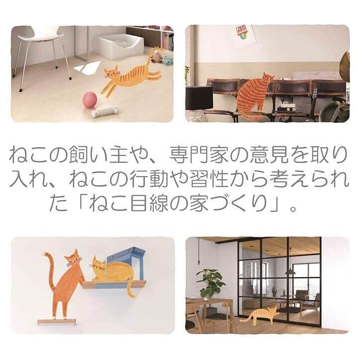 タマホーム株式会社さんのインスタグラム写真 - (タマホーム株式会社Instagram)「「ねこと暮らす喜び」を楽しむ住まいができました🏠 「ねこと私の家」のモデルハウスが遂に完成！ねこ好きさんは必見の住まいを、ぜひご体感下さい♪  タマホーム名古屋支店 住所:愛知県名古屋市緑区大高町新寅田18番  8月10日〜15日はニューモデルハウスオープン見学会を開催！フェア期間中には、最高3,000円分のクオ・カードをプレゼント♪※詳細は公式HPをご覧ください。  #タマホーム  #ねこと私の家 #モデルハウス #愛知県 #名古屋市 #マイホーム #家づくり #家 #新築 #グランドオープン #見学会 #空間設計 #空間デザイン #外観 #homedecor  #パース #ねこ #ねこと暮らす #猫 #ねこ好き  #キャット #キャットウォーク  #cat」8月9日 17時49分 - tamahome_official