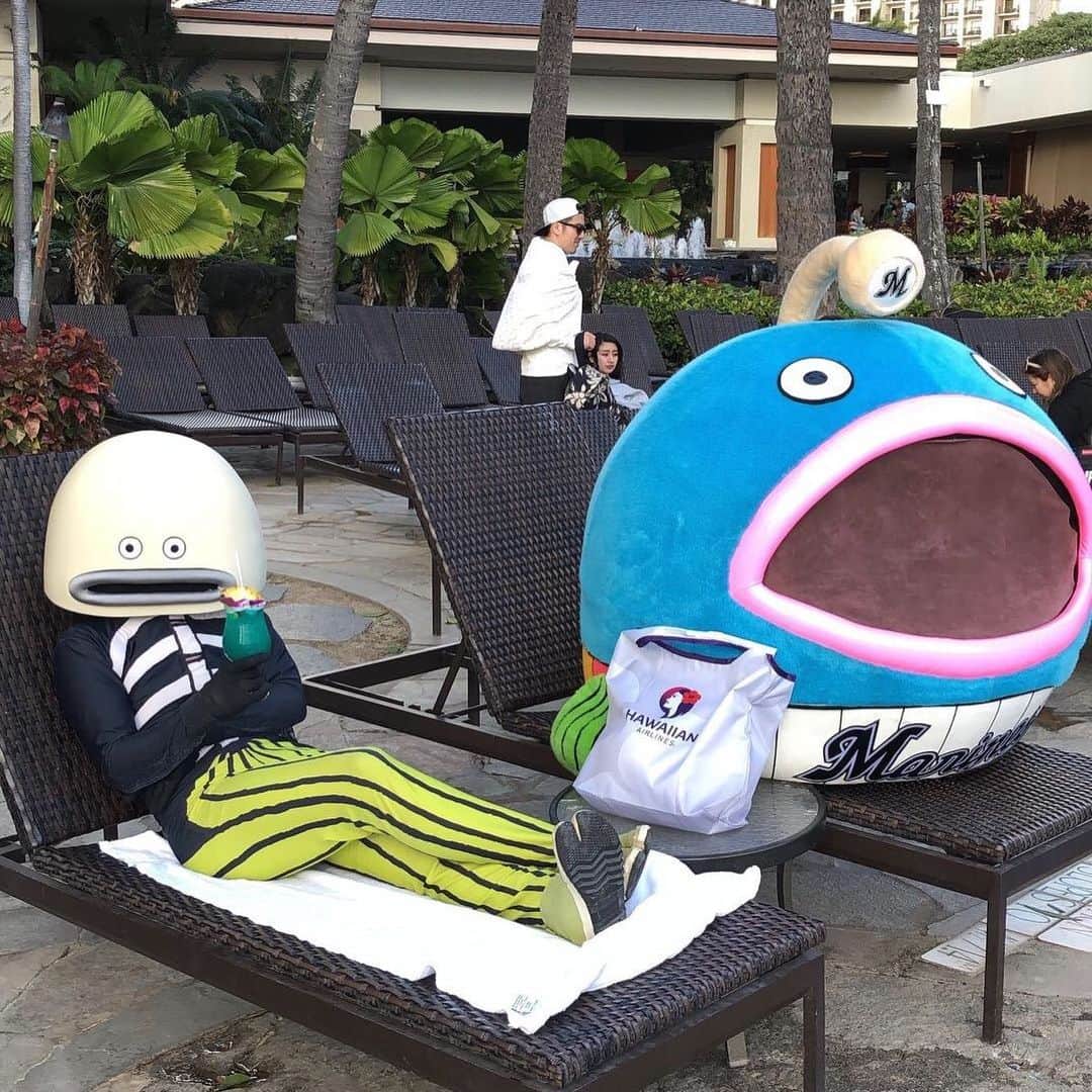 ハワイアン航空さんのインスタグラム写真 - (ハワイアン航空Instagram)「🐟謎の魚＆ハワイアン航空プレゼントキャンペーン 🐟 ⠀⠀⠀⠀⠀⠀⠀⠀⠀ ハッピー #アロハフライデー 🌴 8月9日、 #野球の日 を記念して、#謎の魚 と #ハワイアン航空 より、謎の魚Tシャツとハワイアン航空オリジナルエコバッグを抽選で2名様にプレゼント！ サイズはMのみ。デザインは選べませんので予めご了承ください。ハワイではレジ袋が有料化になり、プラスチック規制がさらに強化されましたので、エコバックを持参すると便利ですよ～🤙⠀⠀⠀⠀⠀⠀⠀ ⠀ プロフィールのストーリーもチェックしてくださいね👉 【応募条件】 ① @HawaiianAirlinesJPをフォロー（非公開アカウント無効） ②この投稿を❤する ③友達を2人タグ付けする  ご応募は2019年8月23日(23:59)まで！ ＊ご当選の方にはキャンペーン終了後1週間以内にハワイアン航空SNS担当者より、メッセージにてご連絡させていただく予定です。当選者の発表はメッセージの送信をもってかえさせていただきます。プレゼントのお届けは日本国内とさせていただきます。 © CHIBA LOTTE MARINES ⠀⠀」8月9日 16時59分 - hawaiianairlinesjp