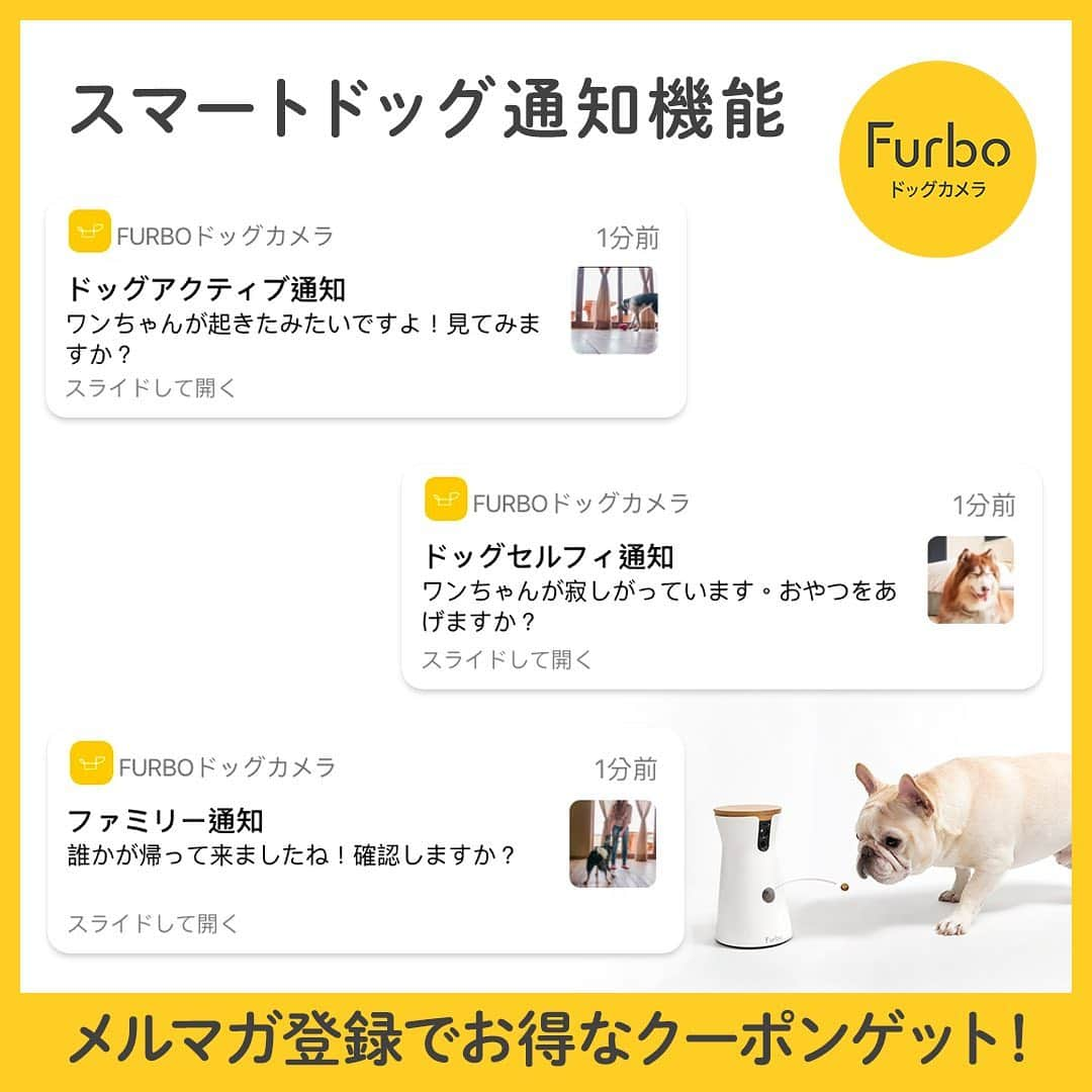 Furbo ドッグカメラさんのインスタグラム写真 - (Furbo ドッグカメラInstagram)「🐶「ああああ〜暇だな〜！おねだりの練習しこ！！！！」⁠⠀ ⁠⠀ （ちょうだい）（ちょうだい）⁠⠀ ⁠⠀ ⁠👩「決定的瞬間を動画でおさえた！笑」⁠⠀ ⁠⠀ ⁠⠀ 🎥：@littlemonsteryeti⁠⠀ ⁠⠀ ⁠⠀ ⁠⠀ Furboはお留守番中の愛犬を見たり、話しかけたり、おやつもあげられる高機能ドッグカメラです。⁠⠀ 世界10か国で販売されているベストセラー商品です。⁠⠀ ⁠⠀ スマホ、タブレットの専用アプリを通して、お留守番している愛犬と繋がることができます。⁠⠀ ⁠⠀ 詳しくは⁠⠀ @furbo_japan⁠⠀ のURLよりご確認ください！⁠⠀ ⁠⠀ #ファーボは見た⁠⠀ #ファーボでお留守番できるもん⁠⠀ での投稿や「@furbo_japan」のタグ付け投稿でシェアされるかも！⁠⠀ ぜひご参加ください！⁠⠀ ⁠⠀ ⁠⠀ ⁠⠀ #わんこのいる生活 #わんこのいる暮らし #愛犬グッズ #ドッグシッター #furbo #ファーボ」8月9日 17時31分 - furbo_japan