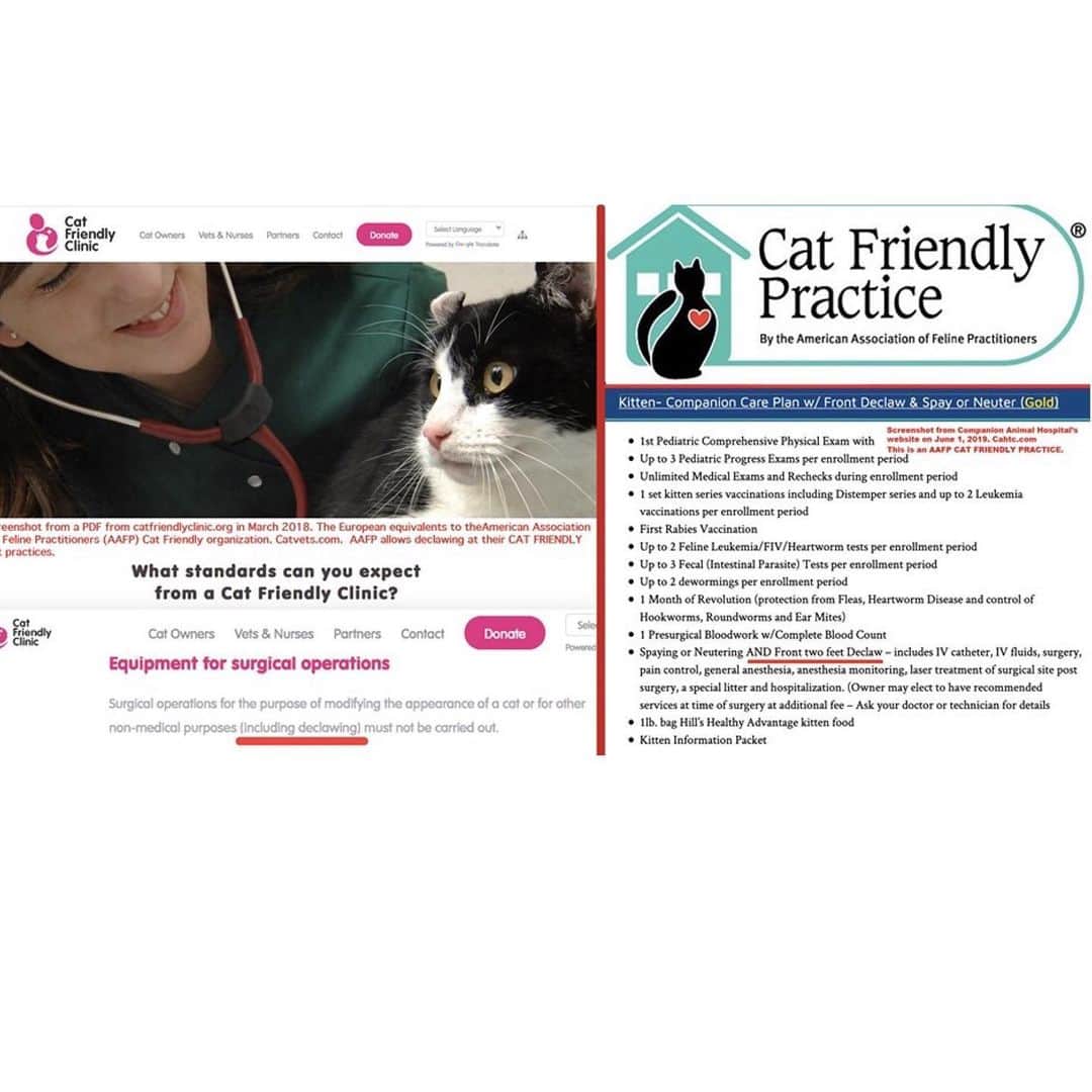 City the Kittyさんのインスタグラム写真 - (City the KittyInstagram)「Here's a brand new "Chronic Pain in Cats" study that is in the Journal of Feline Medicine and Surgery, which is the journal for @icatcare’s @isfmcats and American Association of Feline Practitioners (AAFP)​. ISFM started the CAT FRIENDLY Practice program and never allowed declawing in their CAT FRIENDLY PRACTICES. 👍🏻😺 AAFP @catfriendlyhomes has always allowed declawing in their CAT FRIENDLY PRACTICE$. 😾👎🏻 . How much more evidence do declawing vets need to see before they stop doing this inhumane and mutilating amputation procedure?  Enough is enough folks.  Cat owners should step up and be decent human beings and stop having this animal cruelty done to their cats. Join us and help end this animal cruelty! (QoL is Quality of Life.) #pawsneedclaws #veterinarians #stopdeclawing #catfriendlypractice #catfriendlyhomes #internationalcatday」8月9日 8時49分 - citythekitty